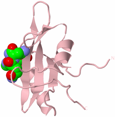 Image Biological Unit 2