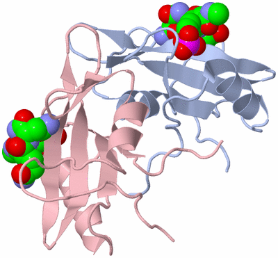 Image Biological Unit 3