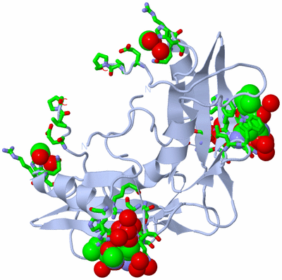 Image Biol. Unit 1 - sites