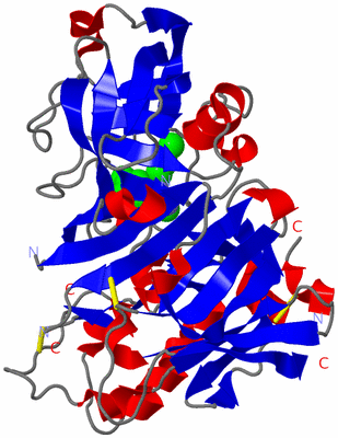 Image Asym./Biol. Unit