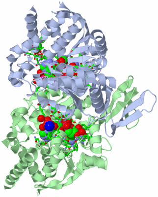 Image Biol. Unit 1 - sites