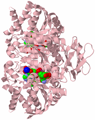 Image Biological Unit 2