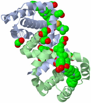 Image Biological Unit 1