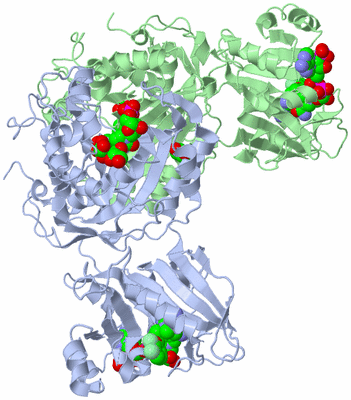 Image Asym./Biol. Unit