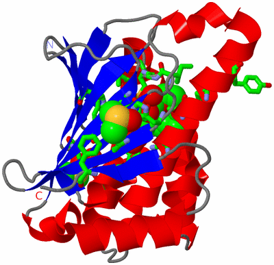 Image Asym./Biol. Unit - sites