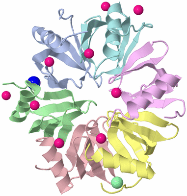 Image Asym./Biol. Unit