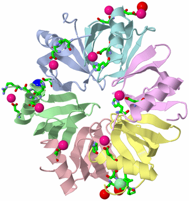 Image Asym./Biol. Unit - sites