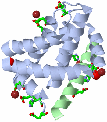 Image Asym./Biol. Unit - sites