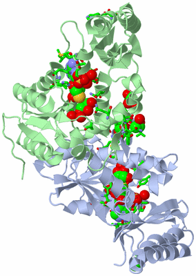 Image Asym./Biol. Unit - sites