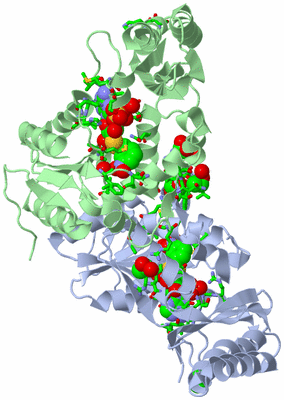 Image Asym./Biol. Unit - sites