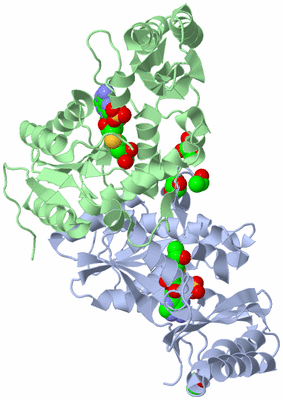 Image Asym./Biol. Unit