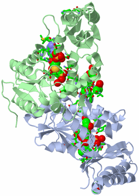 Image Asym./Biol. Unit - sites