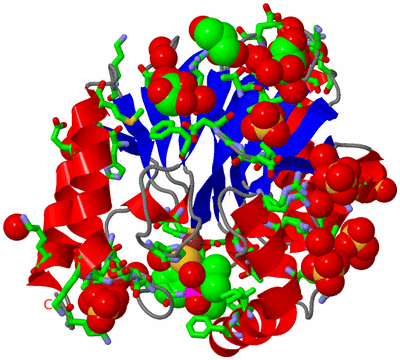 Image Asym./Biol. Unit - sites