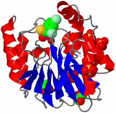 Image Asym./Biol. Unit