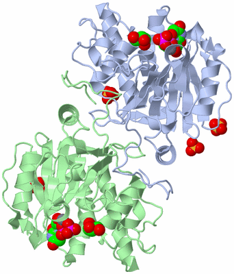 Image Asym./Biol. Unit