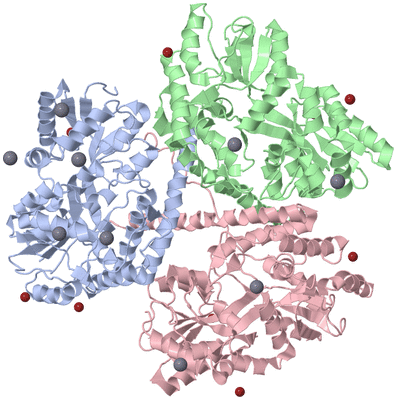 Image Asym./Biol. Unit