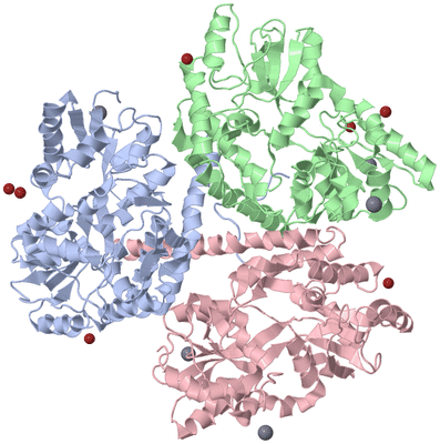 Image Asym./Biol. Unit