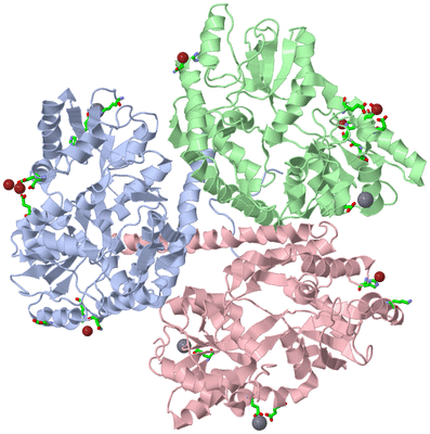 Image Asym./Biol. Unit - sites