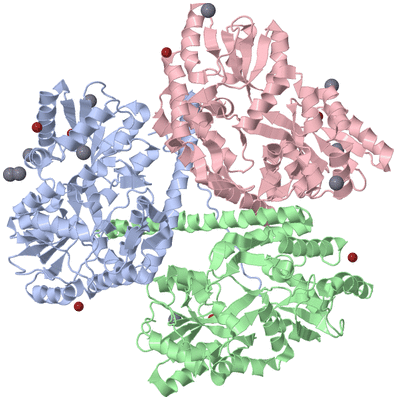 Image Asym./Biol. Unit