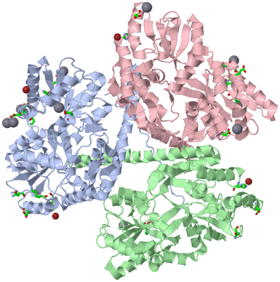 Image Asym./Biol. Unit - sites