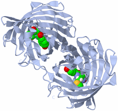 Image Biological Unit 1