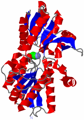 Image Asym./Biol. Unit