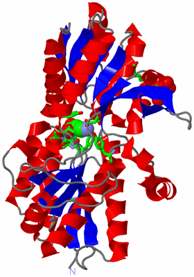 Image Asym./Biol. Unit - sites