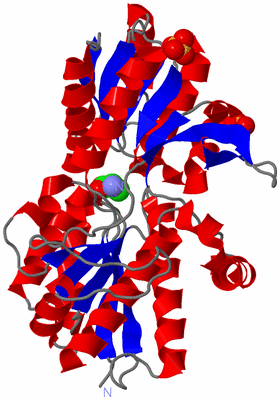 Image Asym./Biol. Unit