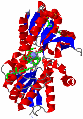 Image Asym./Biol. Unit - sites