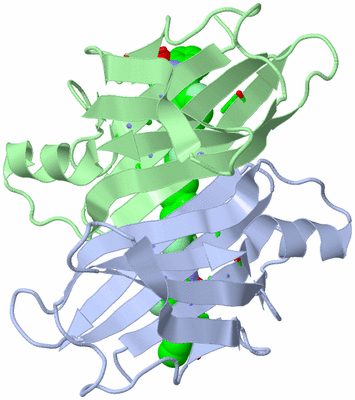 Image Asym. Unit - sites