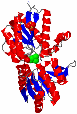 Image Asym./Biol. Unit