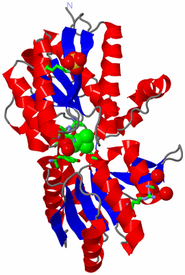 Image Asym./Biol. Unit - sites