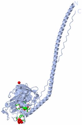 Image Biol. Unit 1 - sites