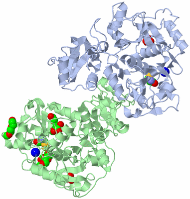 Image Biological Unit 1