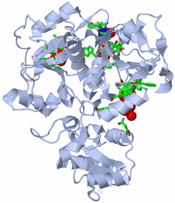 Image Biol. Unit 1 - sites