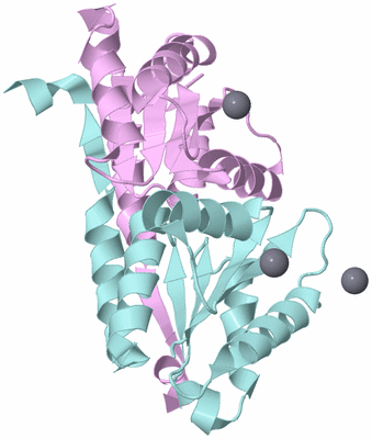 Image Biological Unit 3