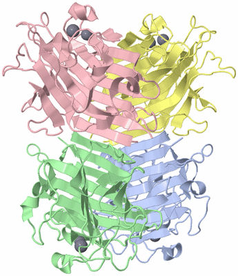 Image Asym./Biol. Unit