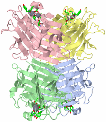 Image Asym./Biol. Unit - sites