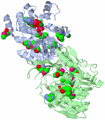 Image Asym./Biol. Unit