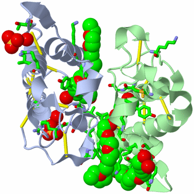 Image Biol. Unit 1 - sites