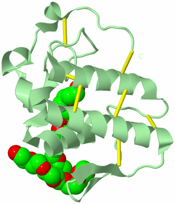 Image Biological Unit 3