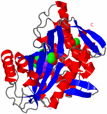 Image Asym./Biol. Unit