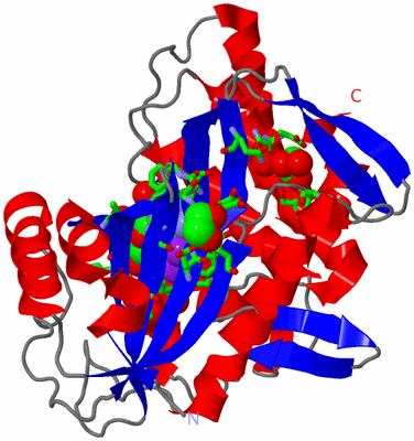 Image Asym./Biol. Unit - sites