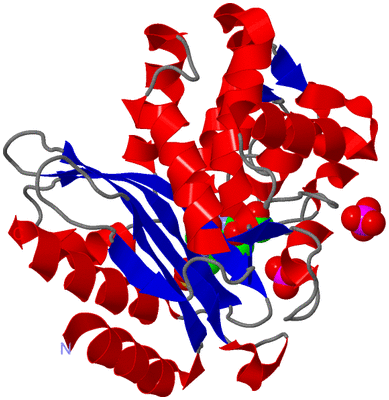 Image Asym./Biol. Unit