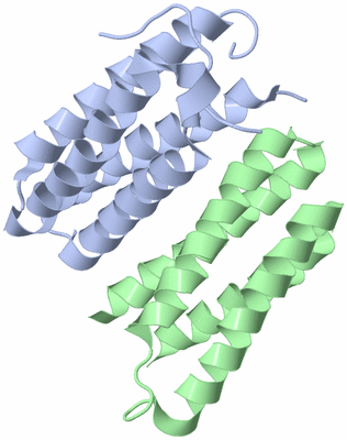 Image Biological Unit 3