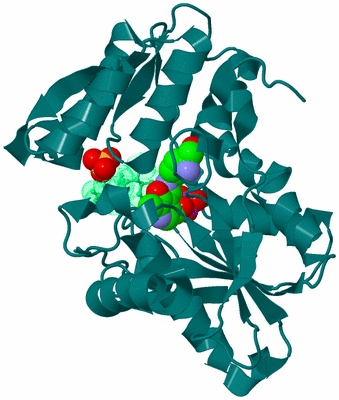 Image Asym./Biol. Unit