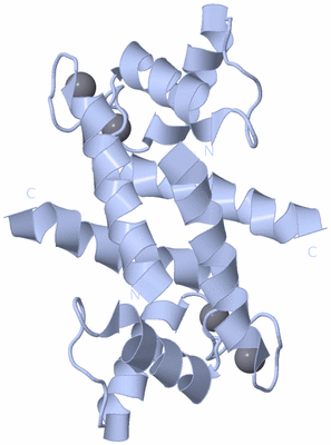 Image Biological Unit 1