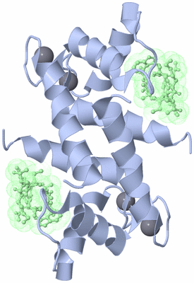 Image Biological Unit 1