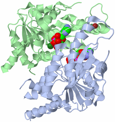 Image Asym./Biol. Unit