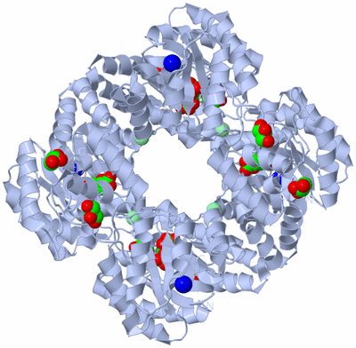 Image Biological Unit 1